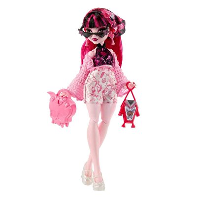Monster High Gizemli Arkadaşlar Tatil Bebeği Draculaura JDR50