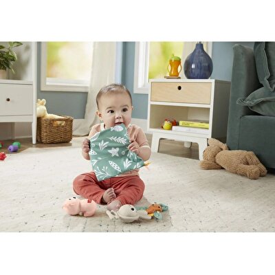 Fisher Price Duyuları Harekete Geçiren Oyun Seti HRB17