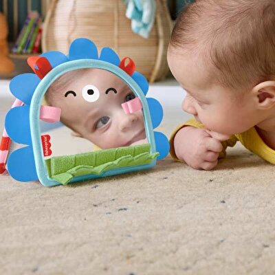 Fisher Price Eğlenceli Kirpi Ayna JHB45