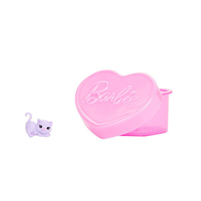 Barbie Parti Paketi Muhteşem Parti serisi Chelsea Bebek JFY04