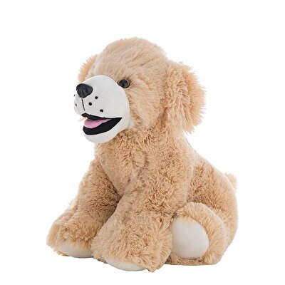 Goldie Labrador Köpek 40 Cm