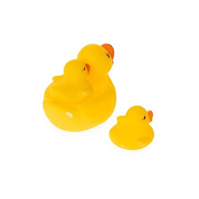 3'lü Ördek Ailesi Seti