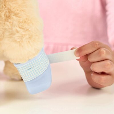 LLP Yavru Köpek İyileşiyor 26679