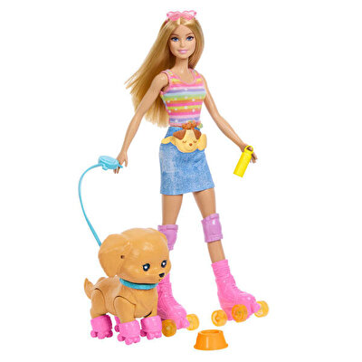 Barbie Pets Paten Macerası Bebek ve Sevimli Köpek Oyun Seti JMJ44
