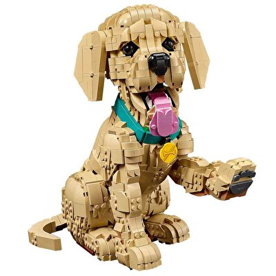 LEGO Icons Yavru Golden Retriever 11384
