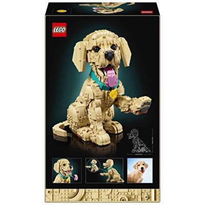 LEGO Icons Yavru Golden Retriever 11384