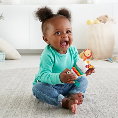 Fisher Price Eğlenceli Arkadaşlar Dişlik ve Çıngıraklar Click Clack Lama (FXC20)