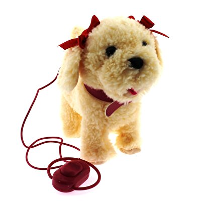 Dansçı Köpeğim Boncuk