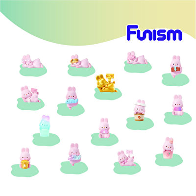 Momo Bunny Life Diar Serisi Sürpriz Paket Koleksiyon Figürü
