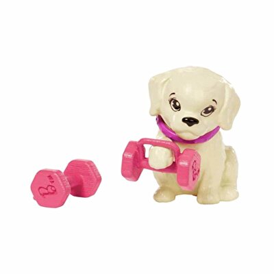 Barbie Wellness Barbie'nin Spa Günü Bebekleri HKT91