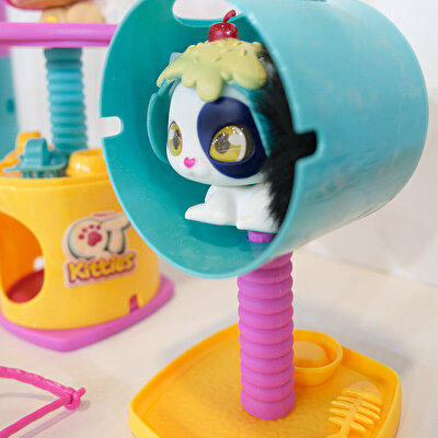 QT Kitties Oli Yavru Kedİ