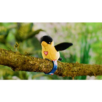 Happy Yappers Slap Bant Konuşan ve Taklit Eden Oriolus Papağan