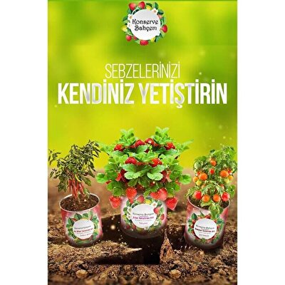 Konserve Bahçem Patlıcan Kemer Yetiştirme Kiti