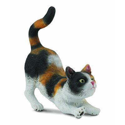 Collecta 3 Renkli Ev Kedisi