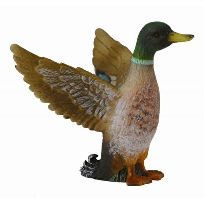 Collecta Yaban Ördeği
