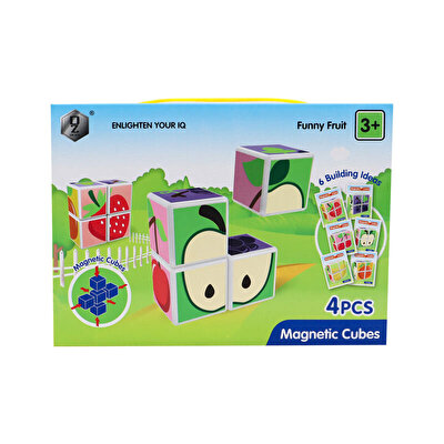 Manyetik 4 Parça Zeka Küpleri