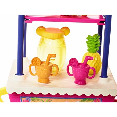 Enchantimals Bebek ve Aracı Seti Kaplumbağa Taylee FCC65