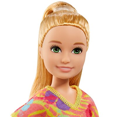 Barbie ve Chelsea Kayıp Doğum Günü Stacie Bebek GRT89