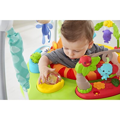 Fisher Price Yağmur Ormanı Jumperoo