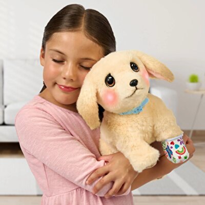 LLP Yavru Köpek İyileşiyor 26679