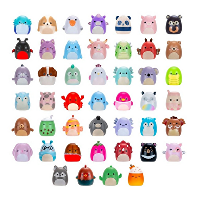 Squishmallows Squish-a-Longs 2'li Sürpriz Paket Seri 3