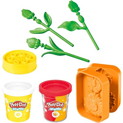 Play Doh Sunflowers & Daisies Flower Oyun Seti G2476