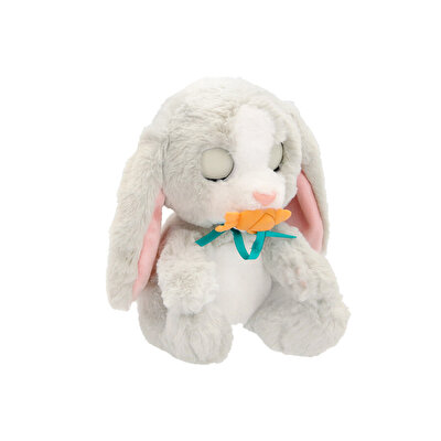 Baby Paws Sesli Tavşan 20 Cm Peluş W2-927124