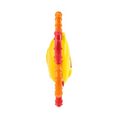 Fisher Price Sevimli Dostlar Dişlik ve Çıngıraklar Aslan (GGF04)