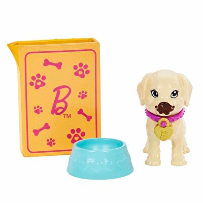 Barbie ve Köpekçikleri Oyun Seti HKD86