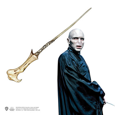 Wizarding World Harry Potter Asa - Voldemort