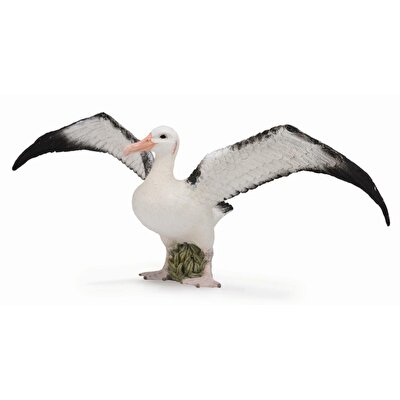 Collecta Gezgin Albatros