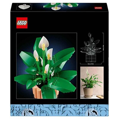 LEGO Botanicals Barış Çiçeği 11504