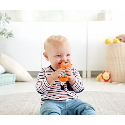 Fisher Price Eğlenceli Arkadaşlar Dişlik ve Çıngıraklar Aç Su Samuru (FXC21)