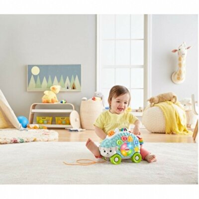 Fisher Price Linkimals Sevimli Gezgin Kirpi Türkçe GJB12