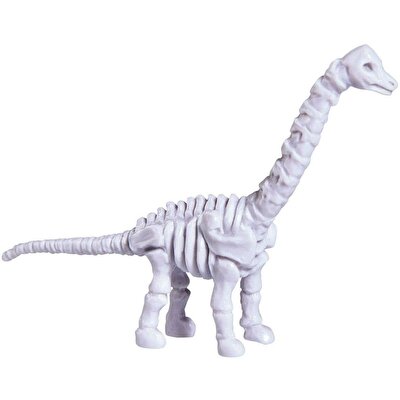 Kazıcı Dinoskeletonlar Brachiosaurus