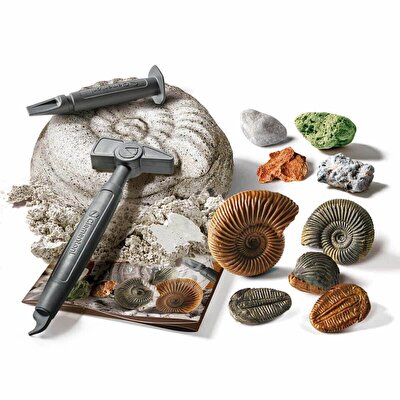 Clemetoni Bilim ve Oyun Fosiller ve Mineraller Kazı Seti
