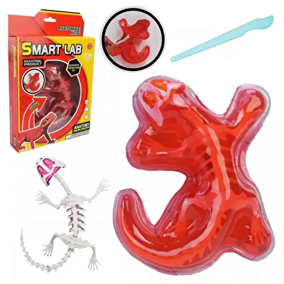 Kertenkele Laboratuvar Seti