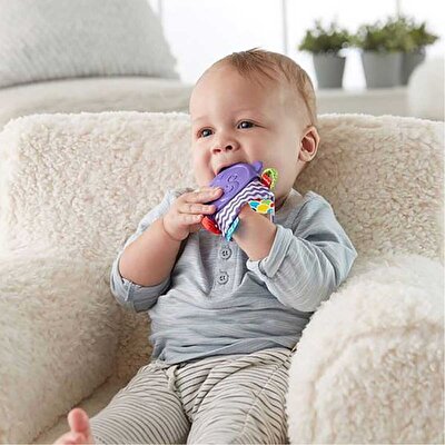 Fisher Price Maymun Arkadaşım Dişlik