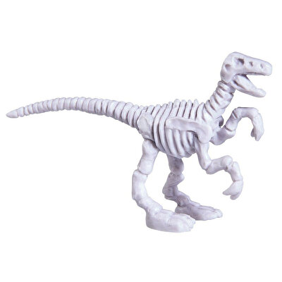 Kazıcı Dinoskeletonlar Velociraptor
