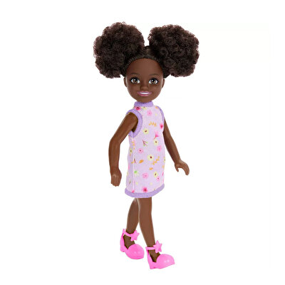 Barbie Aksesuarlı Chelsea Bebekler HXM96