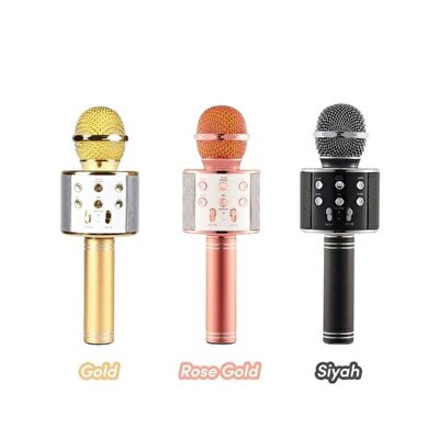 Karaoke Mikrofon WS-858