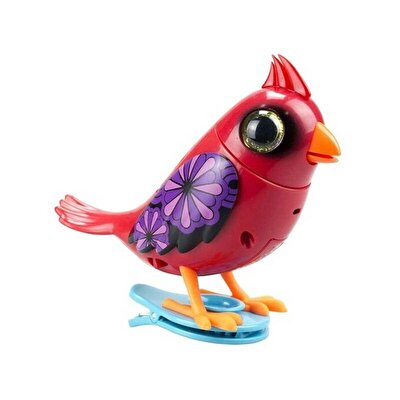 Digibirds Tek Paket Seri 1 Kırmızı