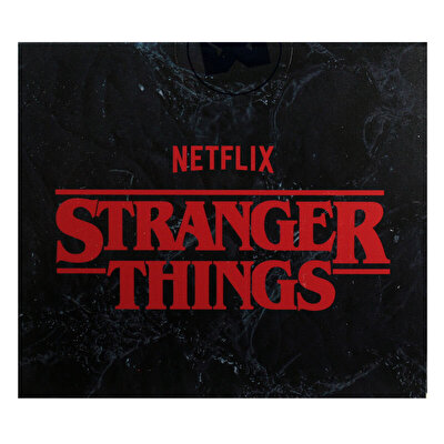 Minix Stranger Things Dustin 13906