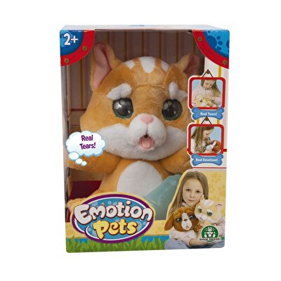 Emotion Pets Evcil Hayvanlar Sarı Kedi