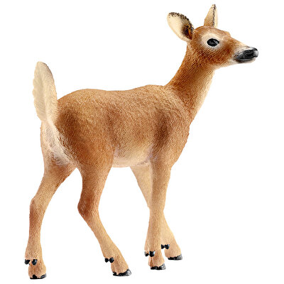 Schleich Beyaz Kuyruklu Geyik Dişi