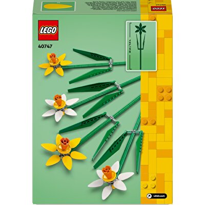 LEGO Iconic Nergis 40747