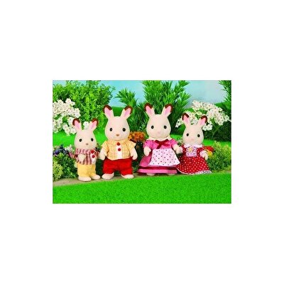 Sylvanian Families Kahverengi Tavşan Ailesi