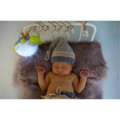 Babycim Uyku Zamanı Kaplumbağa Projektör