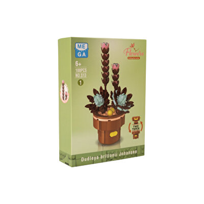 Mega Bitki Çiçekleri Sukulent 188 Parça