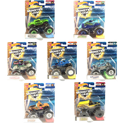 Hot Wheels Monster Jam 1:64 Araçlar